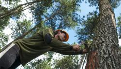 Kelola Hutan Berkelanjutan, Perhutani Siap Penetrasi Pasar Global