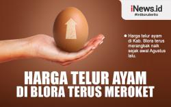 Infografis Harga Telur Ayam di Blora Terus Meroket