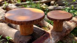 HUT ke-77 Provinsi Jabar, Transaksi E-Samsat Meningkat 2 Kali Lipat di Marketplace