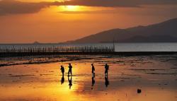 Anak Nelayan Mencari Kerang saat Air Laut Surut