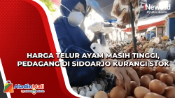 Harga Telur Ayam Masih Tinggi, Pedagang di Sidoarjo Kurangi Stok