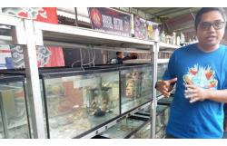  Yuk ke Kadisoro Bantul, Ada Festival dan Pameran Ikan Hias Tingkat Nasional Lho