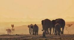 Ide Wisata di Taman Sukadana, Ada Situs Kuno hingga Atraksi Hewan