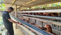 Harga Telur Melonjak, Peternak di KBB Mengaku Tak Untung karena Pakan Mahal<