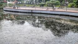 Banyak Sampah dan Tidak Terawat, Situ Cibinong Mengalami Pendangkalan