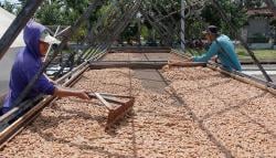 Prabowo Segera Teken Perjanjian Tarif Dagang Trump, Begini Tren Ekspor 3 Komoditas Unggulan RI