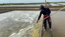 Banjir Rob Rendam Ratusan Hektare Lahan Garam di Cirebon, Petambak Tak lagi Produksi<