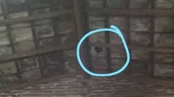 Warga Banyuwangi Geger, Benda Misterius Disertai Percikan Api dan Letupan Jatuh Timpa Rumah