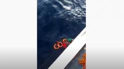 Kapal Teman Niaga Tenggelam di Selat Makassar, Ini Identitas 11 Korban Hilang dan 4 Selamat