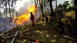 Pabrik Pengolahan Kayu di Kendal Terbakar, Diduga akibat Tungku Oven Meledak