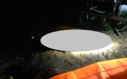 Humbahas Gempar, Jasad Pria Penuh Luka Ditemukan di Kubangan