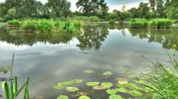 Contoh Cerita Fiksi Singkat Berbagai Tema, Lengkap dengan Unsur-unsurnya<