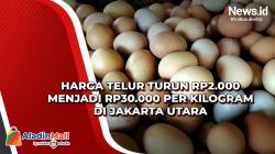 Harga Telur Turun Rp2.000 Menjadi Rp30.000 per Kilogram di Jakarta Utara