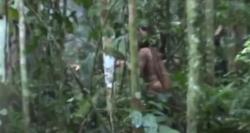 Anggota Terakhir Suku Pedalaman Amazon Ini Ditemukan Meninggal, Hidup Sendiri Bertahun-tahun