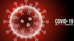 Update 31 Agustus 2022: Kasus Positif Covid-19 Bertambah 4.563 Orang