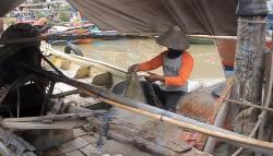 Rencana Kenaikan Harga BBM Subsidi, Nelayan Cirebon Resah<