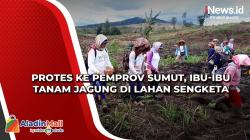 Protes ke Pemprov Sumut, Ibu-Ibu Tanam Jagung di Lahan Sengketa