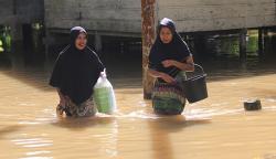 Ratusan Hektare Lahan Pertanian di Aceh Barat Terendam Banjir