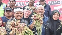 Wow, Dedi Mulyadi dan Petani Milenial Panen 30 Ton Bawang Merah di Purwakarta<