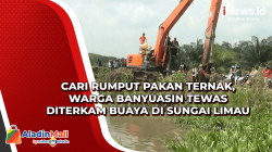 Cari Rumput Pakan Ternak, Warga Banyuasin Tewas Diterkam Buaya di Sungai Limau