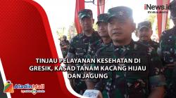 Tinjau Pelayanan Kesehatan di Gresik, Kasad Tanam Kacang Hijau dan Jagung