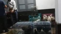 Pomal Temukan Puluhan Satwa Dilindungi dari Papua di KRI Teluk Lada 521