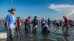Tradisi Ombo, Cara Leluhur Pertahankan Biota Laut