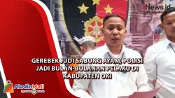 Gerebek Judi Sabung Ayam, Polisi Jadi Bulan-bulanan Pelaku di Kabupaten OKI