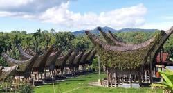 Akronim Sulawesi Selatan, Singkatan dari 2 Suku Kata<