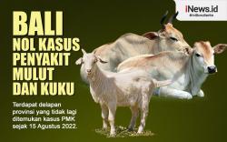 Infografis Bali Nol Kasus Penyakit Mulut dan Kuku