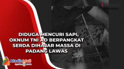 Diduga Mencuri Sapi, Oknum TNI AD Berpangkat Serda Dihajar Massa di Padang Lawas