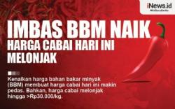 Infografis Imbas BBM Naik, Harga Cabai Melonjak