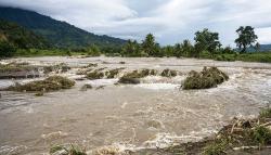 Ratusan Hektare Sawah Tergenang-Jembatan Putus akibat Banjir di Sigi