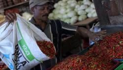 Harga Cabai di Kendari Melambung Tinggi