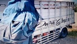  Tabrakan 2 Truk di Tol Semarang-Batang, Sopir dan Kernet Tewas 