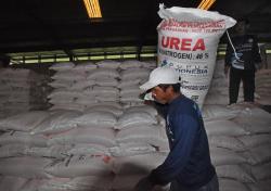 Cukup Hingga Akhir 2022, Stok Pupuk Bersubsidi di Banten Capai 12 Ribu Ton