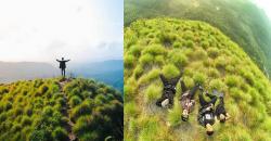 Terpikat Keindahan Bukit Batu Bara di Lampung, Rumputnya Estetik Bergumpal-gumpal