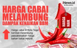 Infografis Harga Cabai di Tegal Melambung Dampak Kenaikan BBM