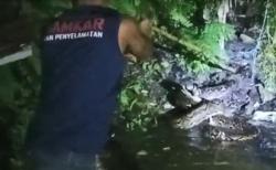 Petugas Damkar Evakuasi Ular Piton Sepanjang 4 Meter yang Mangsa Ternak Warga