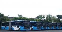 PO Bus Paling Banyak Gunakan Sasis Mewah Scania, Bukan Rosalia Indah atau SUN Ternyata Ini