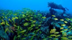 Likupang Ingin Dijadikan Destinasi Wisata Kedua Setelah Bali