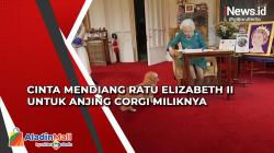 Cinta Mendiang Ratu Elizabeth II untuk Anjing Corgi Miliknya