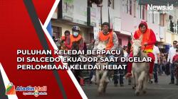 Puluhan Keledai Berpacu di Salcedo Ekuador saat Digelar Perlombaan Keledai Hebat