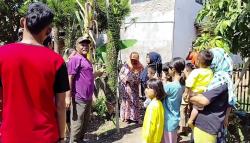 Pisang Berbuah 1.000 Hebohkan Warga Pantura Subang, Mendadak Jadi Tempat Selfie<