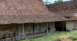  Kehidupan Suku Samin yang Tinggal di Pedalaman Blora, Pertahankan Adat dan Tradisi