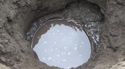 Warga Jombang Dihebohkan Penemuan Sumur Kuno Era Majapahit, Begini Bentuknya