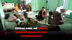 Tengah Ambil Air Wudhu, Seorang Warga di Aceh Diterkam Buaya