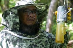  Permintaan Madu Kelulut di Aceh Terus Meningkat