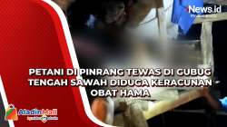 Petani di Pinrang Tewas di Gubug Tengah Sawah Diduga Keracunan Obat Hama