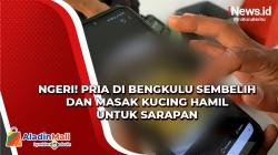 Geger! Pria di Bengkulu Sembelih dan Masak Kucing Hamil untuk Sarapan